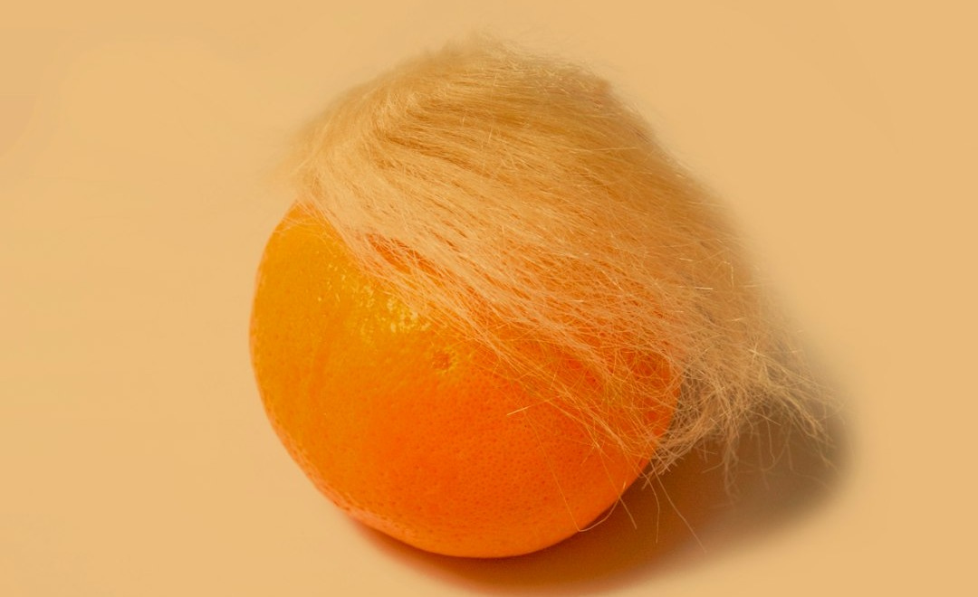orange fruit on white surface orange fruit on white surface