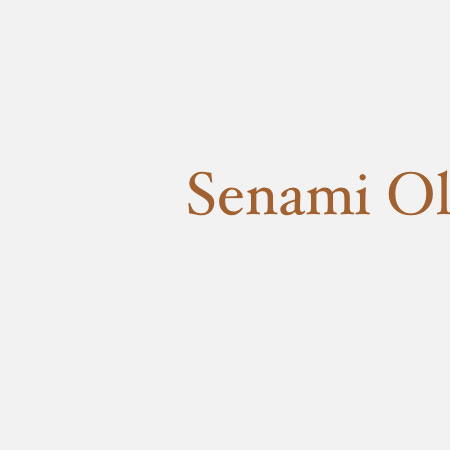 Senami’s Substack