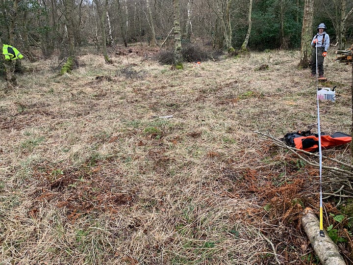 Image of the natural clearing we've selected for the camp