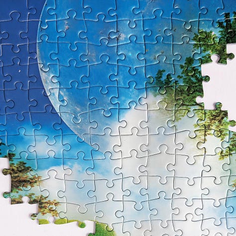 Paperblanks Moon Garden Jigsaw Puzzle