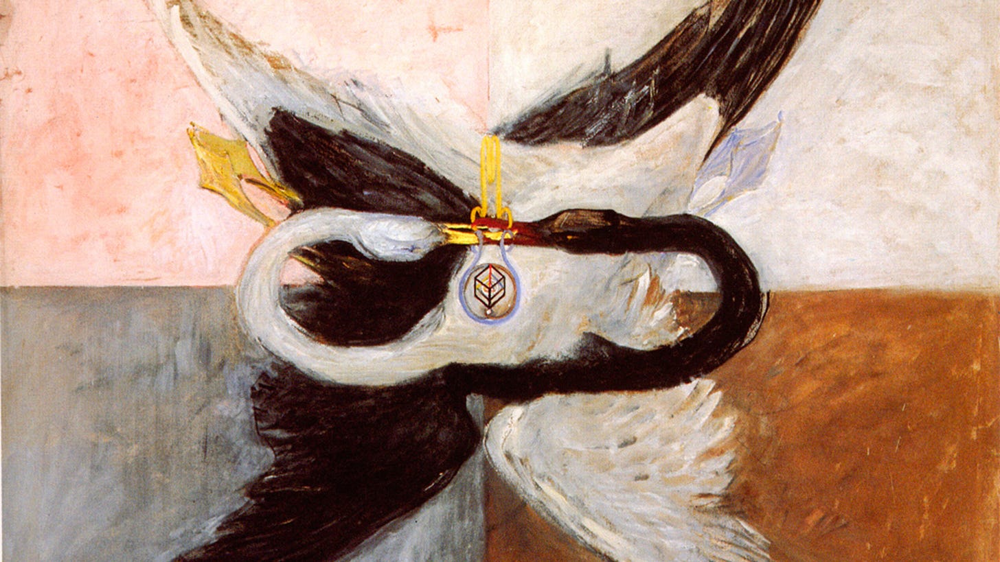A painting of rustic colour blocks of white, pink, grey and ochre over which two swans--one black and the other white--entwine like a puzzle, their beaks meeting in a kiss