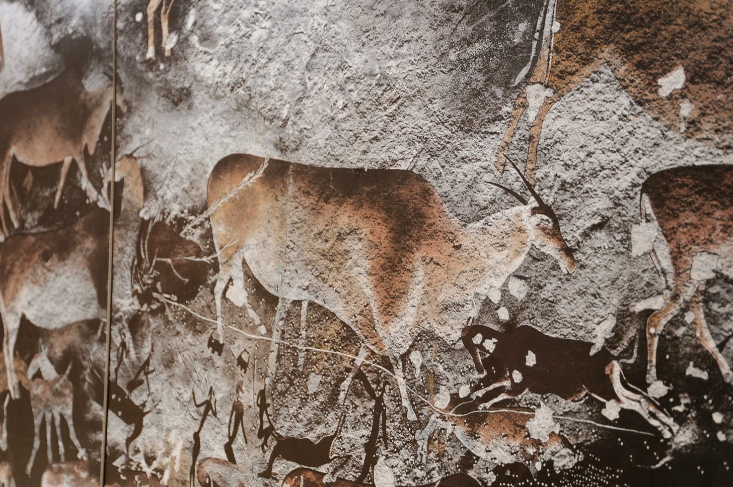 Prehistoric Drawing South Africa