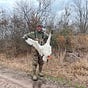 Bird Dogs & Booze's avatar