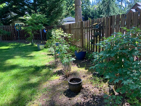 Trees: Birch, Maple, Elm, Oak, Japanese Maple, Dogwood Fruits and Vegetables: Blueberries, Strawberries, Tomatoes, Pumpkins, Peppers Plants: Rhododendron, Peony, Rosemary, Roses, Lilacs, Hosta, Hydrangea, Wisteria, Daylilies, Daffodils Flowers: Sunflowers