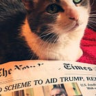 Donald Trump Sues New York Times For $15 Billion Jillion For 'Endorsing Kamala Harris,' Other Crimes