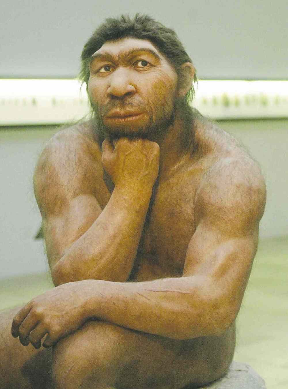 Don't dis the caveman – Winnipeg Free Press