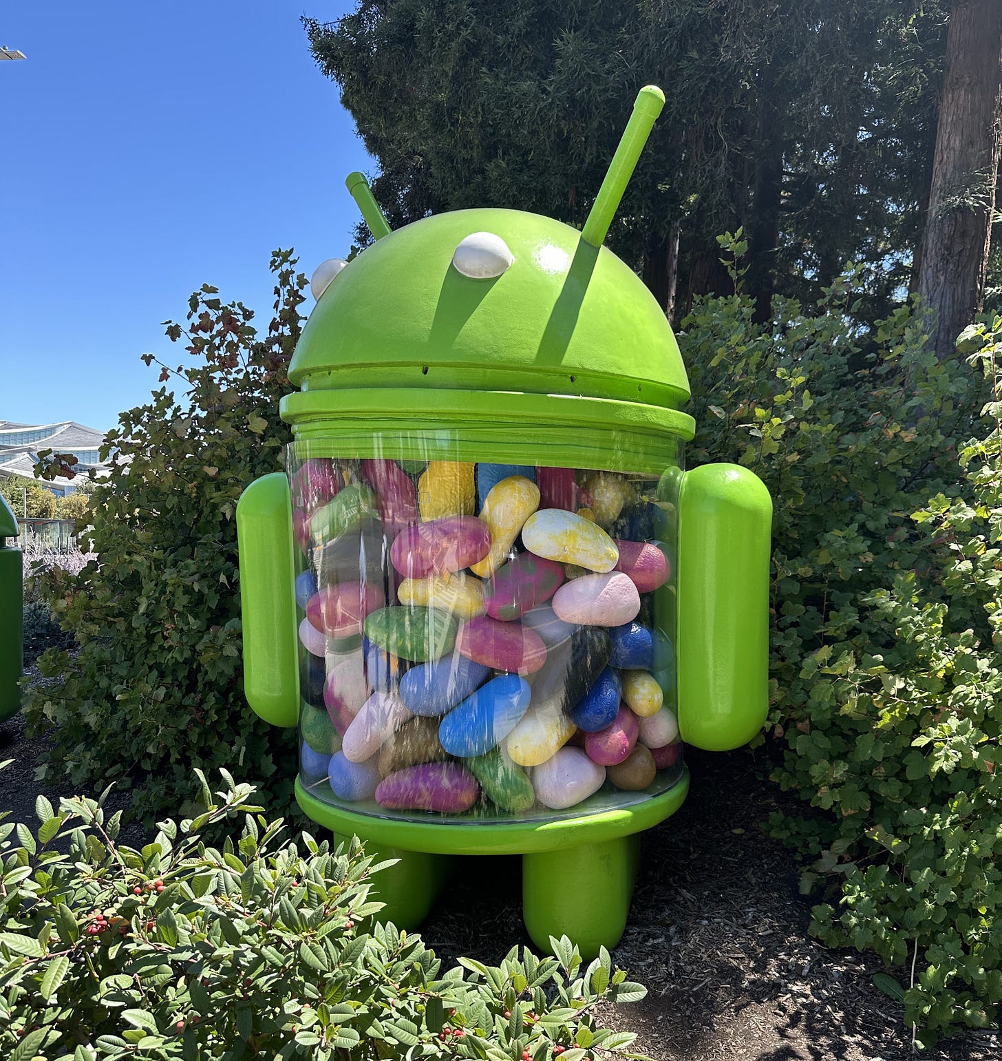 Android Jelly Bean in 2025. Intact, head on tight, jelly beans inside. Surrounded by trees and shrubs. Google Visitor Center Gradient Canopy building barely visible in the distance.