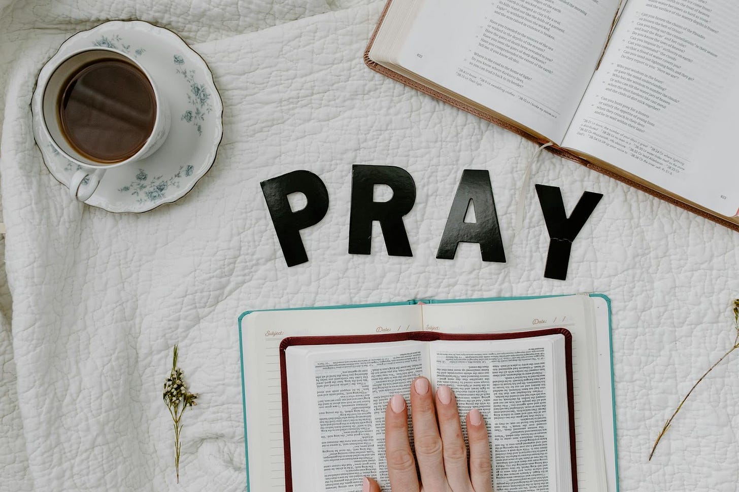 Free stock photo of baptism, baptist, belief
