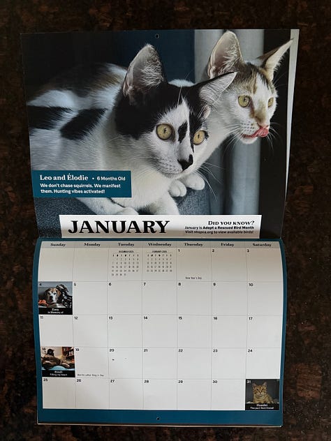 NHSPCA Calendar - 2026