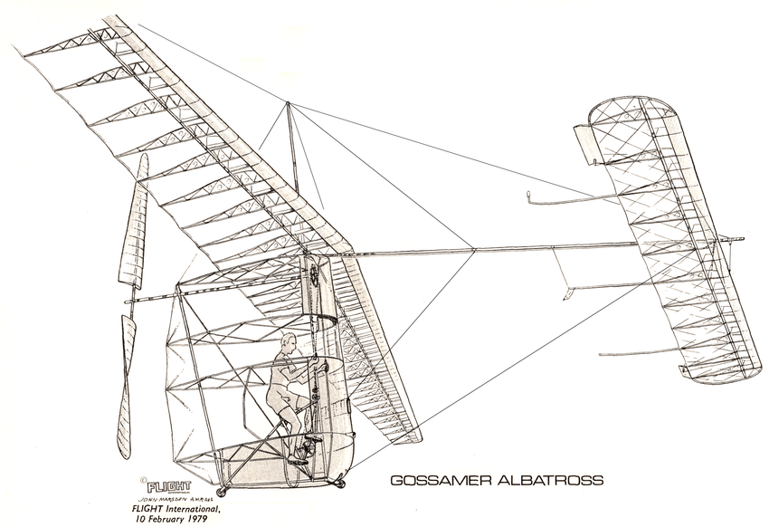 albatrossblueprint.png