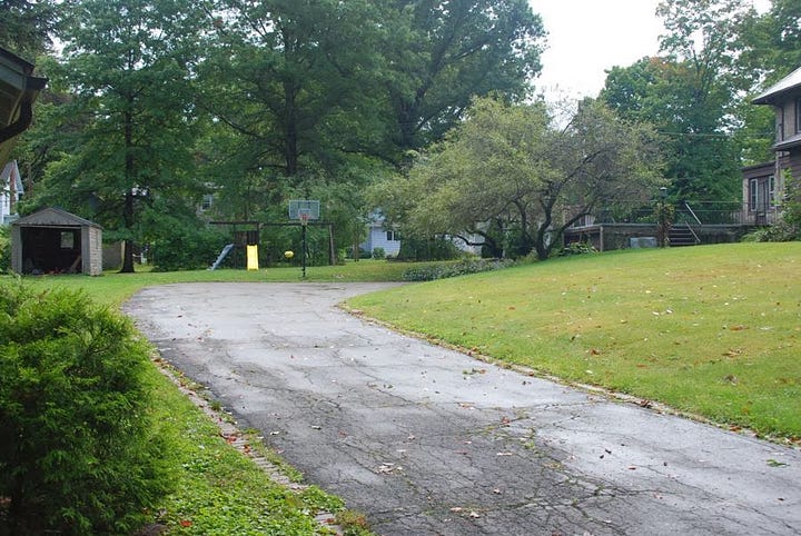 Before photos of the Long Border area at the back of our property near the fence.