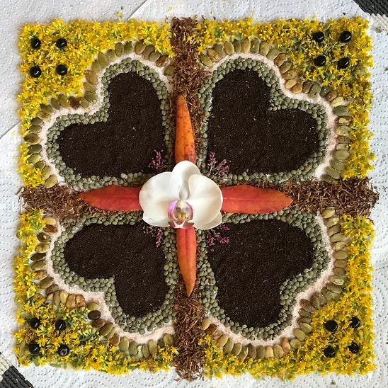 Letters From The Sanctuary