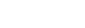 The Liverbird Post