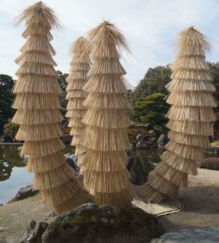 This may contain: three straw umbrellas sitting in front of a pond