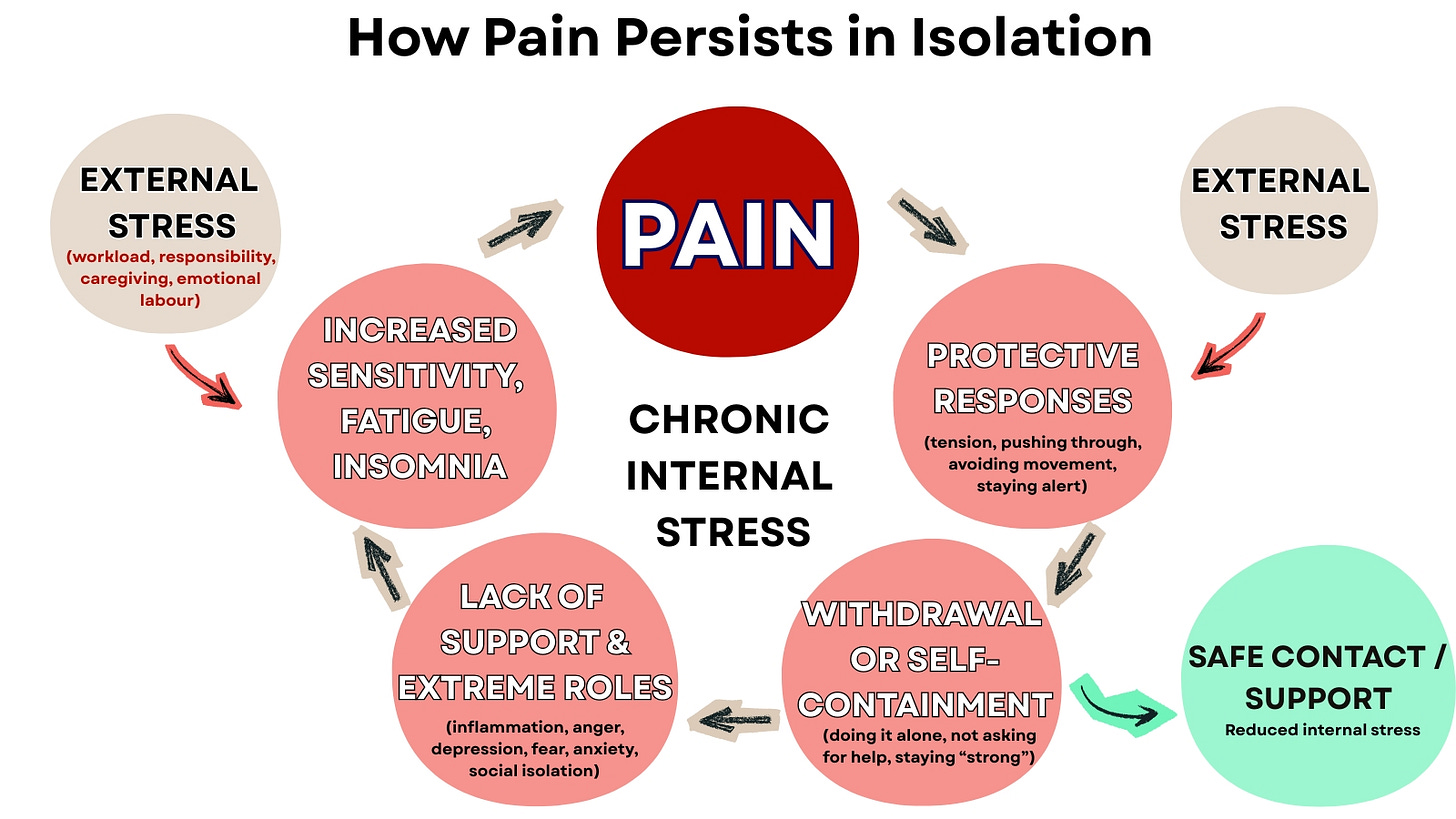 Diagram showing a cycle of how pain persists in isolation: external stress leads to increased sensitivity and fatigue, chronic internal stress and pain, protective responses, withdrawal or self-containment, and lack of support, which reinforce the cycle. Safe contact and support interrupt the loop and reduce internal stress.