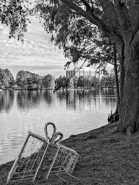 BW Orlando Photos by Leonidas Bratini Photography