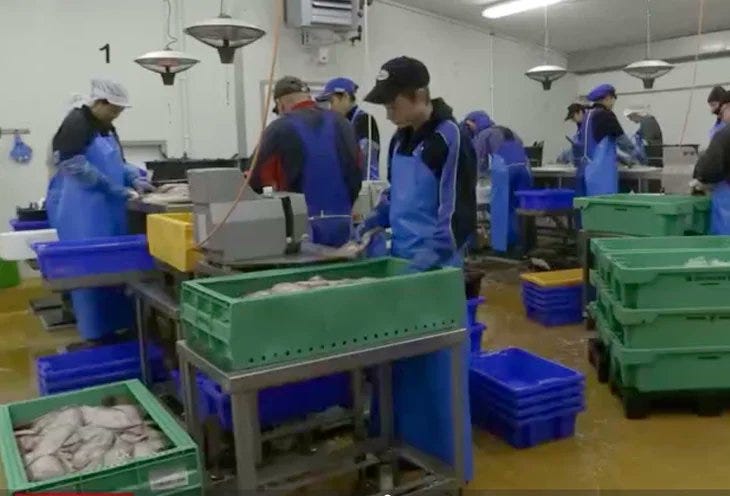 Kenny on Twitter: "Five years ago Jonas Vingegaard was working in a fish  packing plant to support his amatuer cycling career. Today he is the winner  of the 2022 Tour de France!!!