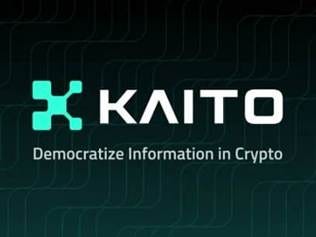 Kaito.ai - Organizations | IQ.wiki