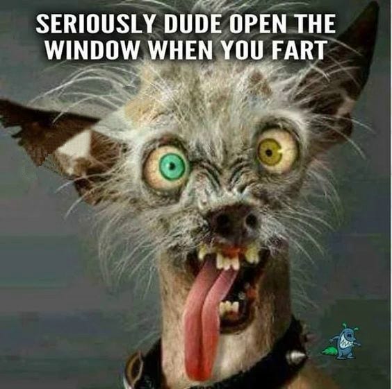 The Evolution of Adult Humor: 50+ Adult Humor Memes for the Overworked Professional (2026 Edition) – Tiny Positive The Evolution of Adult Humor: 50+ Adult Humor Memes for the Overworked Professional (2026 Edition) – Tiny Positive