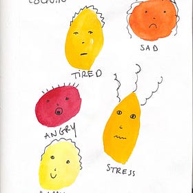 The Toddler Emotions 🎢