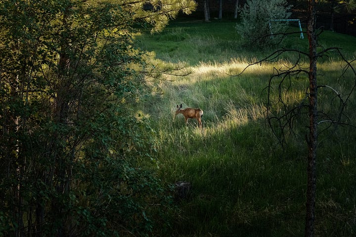 Tyler Knott Gregson Fuji photos of life in Montana
