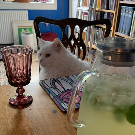 1: white rabbit looks expectantly at camera. 2: a pic of whit rabbits sit invade each other's personal space sitting on a doormat. 3: a sleepy cat with his paw over his face. 4: a tiny cat with big brown eyes looks up at the camera. 5: Snowball the cat sits at a table next to a goblet. 6: a big ginger cat with green eyes is very close to the camera, it looks like a selfie.