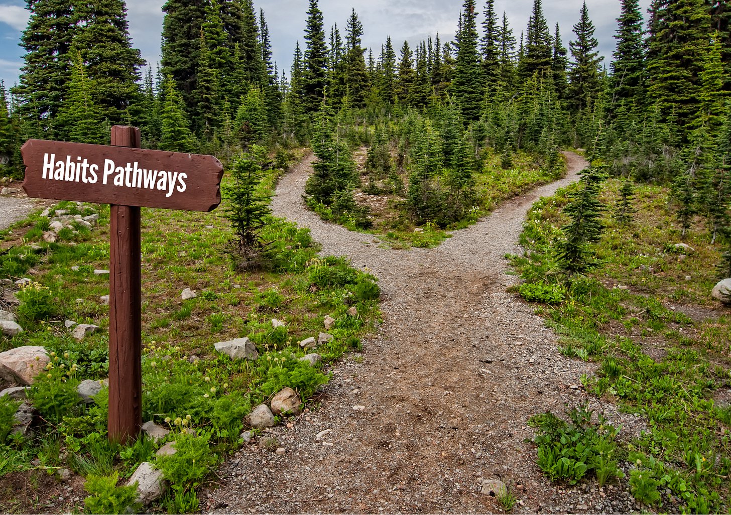 Which pathway do you choose?