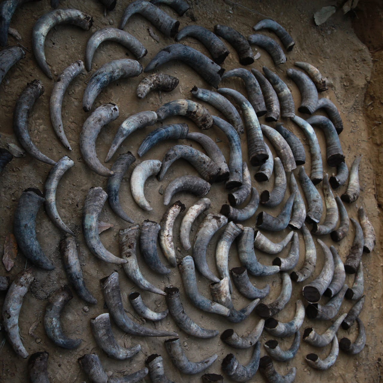 Agricultura Biodinámica