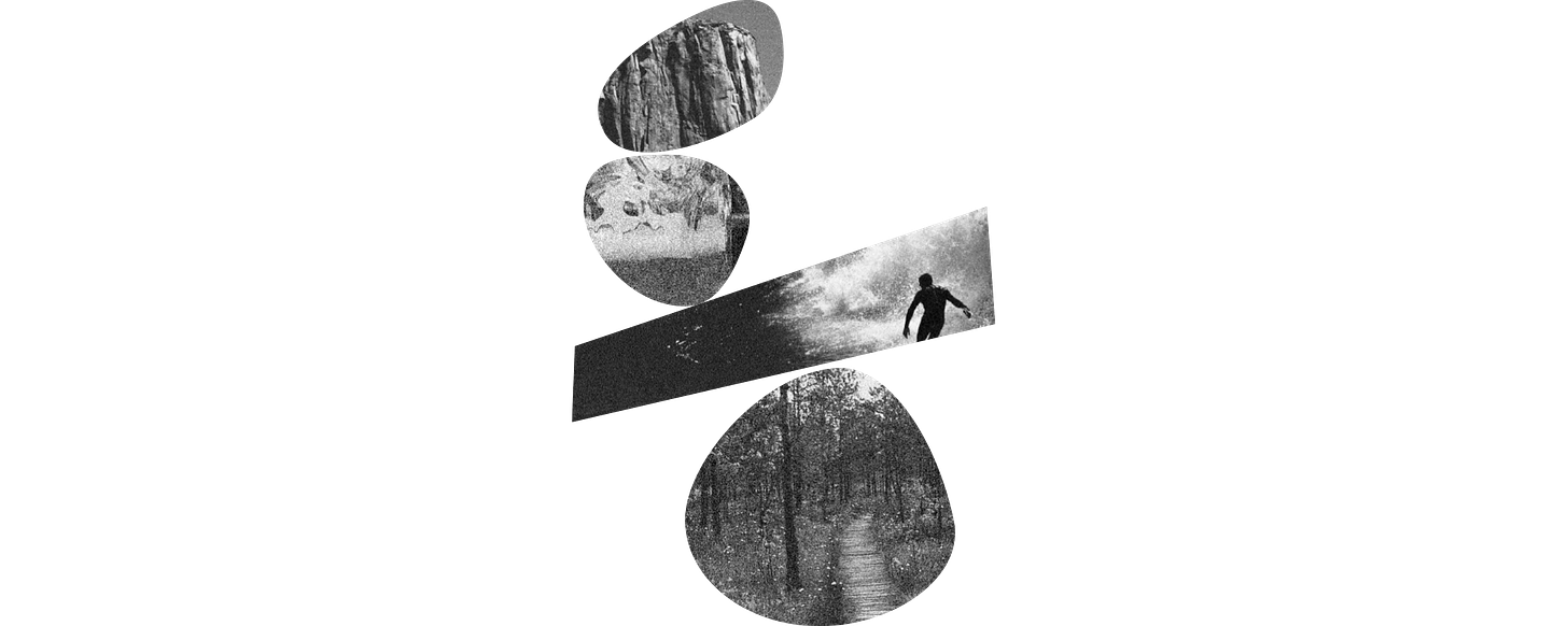 collage collage