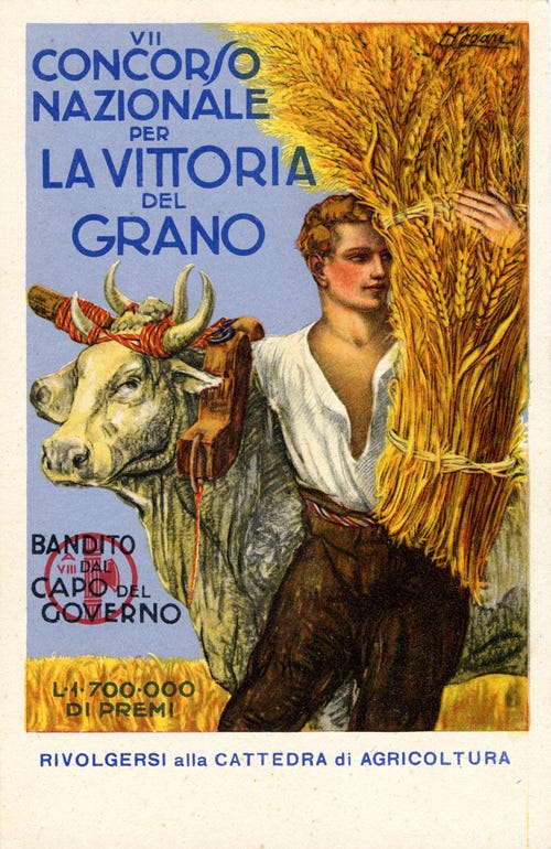 Mussolini's Battaglia del Grano – Traditional Grain Medicine