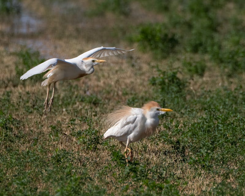 20250708-Stanfield-414-Edit.jpg 20250708-Stanfield-414-Edit.jpg