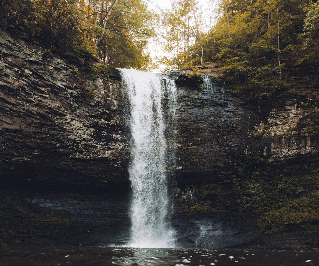 waterfalls surrounded with trees waterfalls surrounded with trees