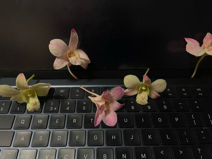This may contain: three orchids are sitting on the keyboard of a laptop, and one is dead