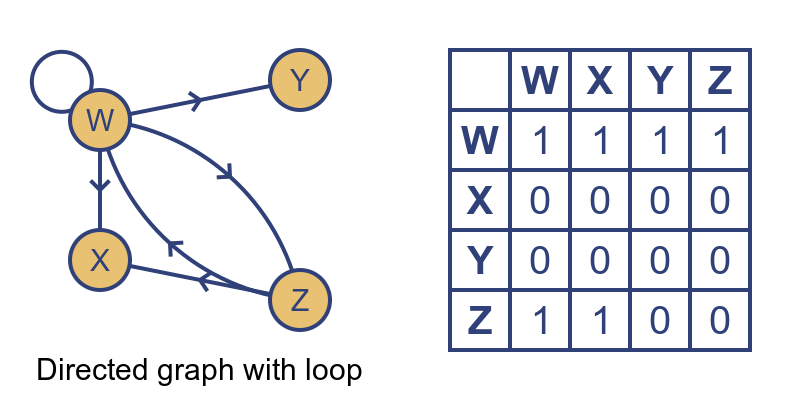 Directed graph wth loop Directed graph wth loop