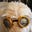Polly's avatar