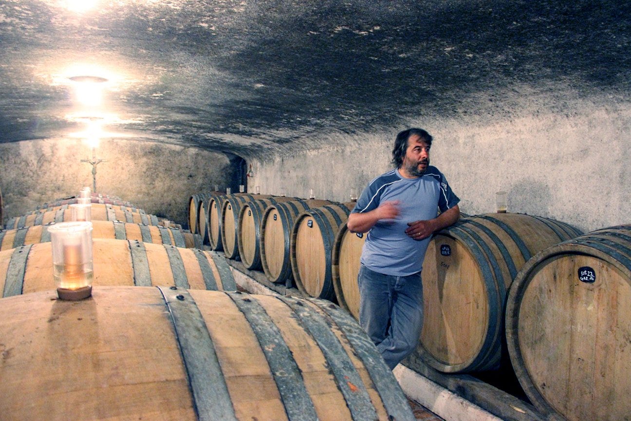 Aleks Klinec in the cellar, Medana, April 2015