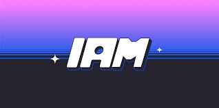 What is IAM Security? Components ...