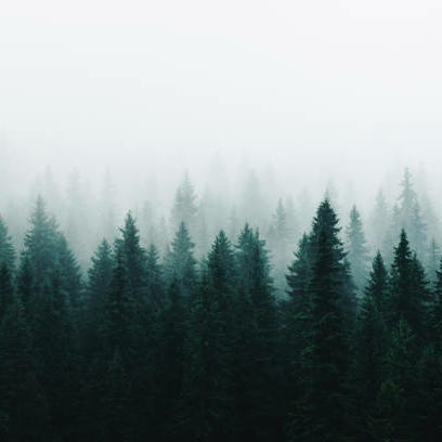 The Intrepid Investor's Guidebook