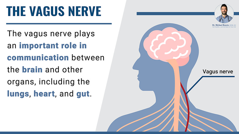 Vagus Nerve Reset
