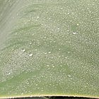 Data, Analytics & Agentic AI ecosystem