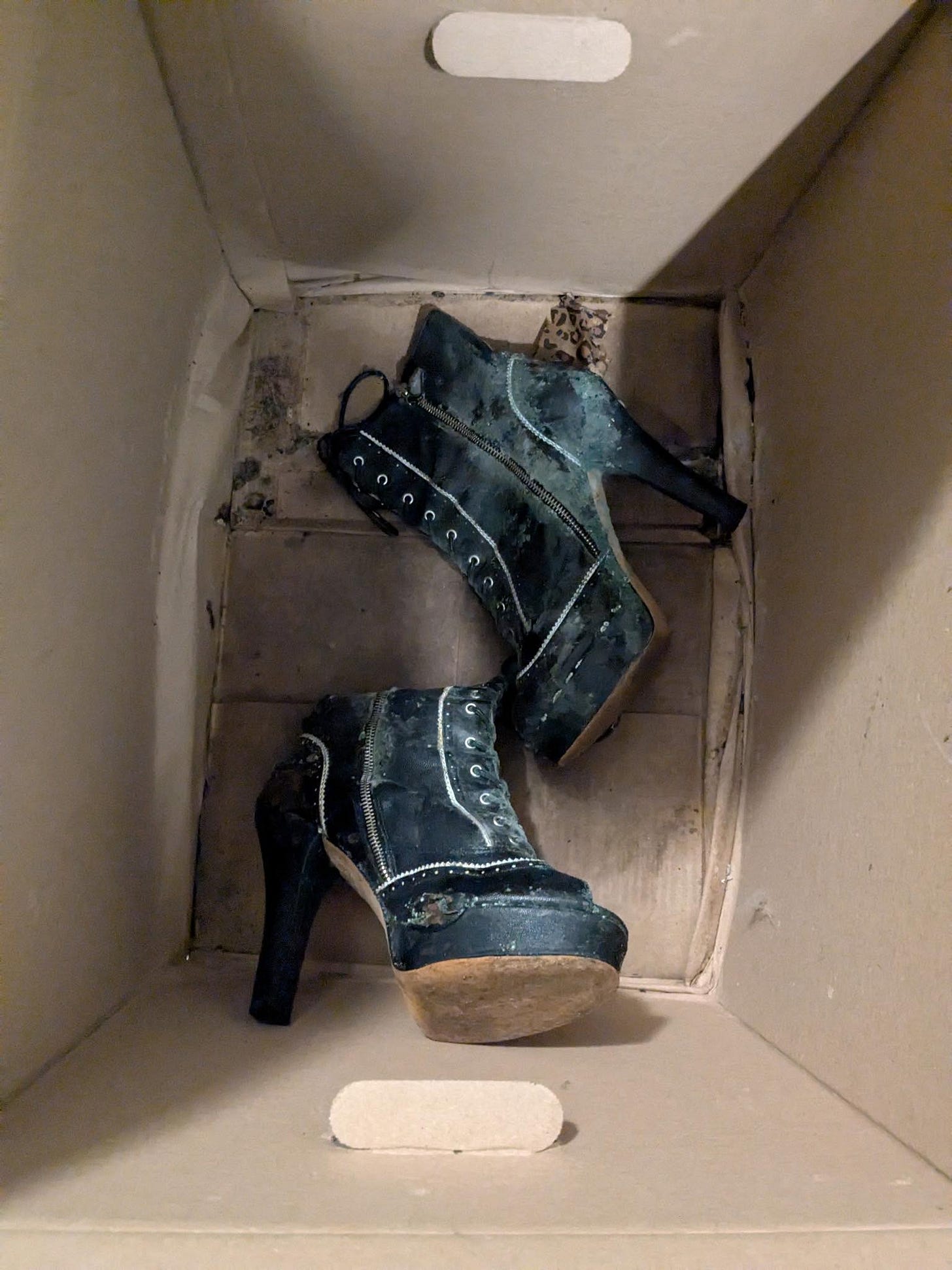May be an image of shoes