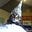 RiverCave's avatar