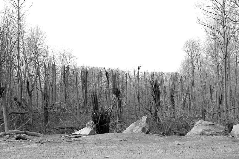 Approx Dec 1975; looking west from road Approx Dec 1975; looking west from road