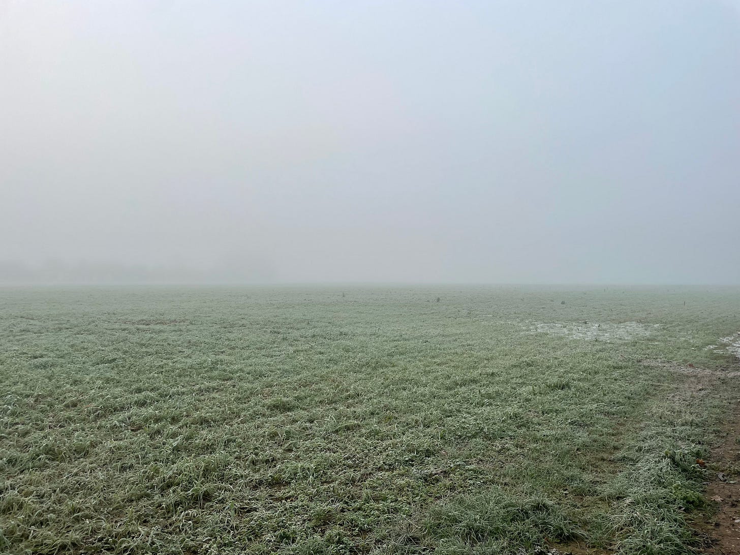 Fog across a field