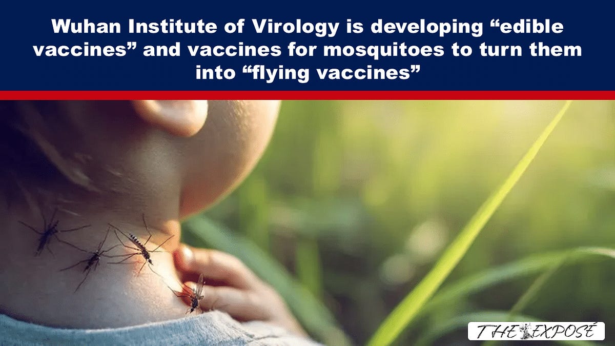 lionessofjudah.substack.com