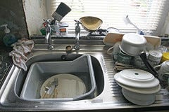 The kitchen sink