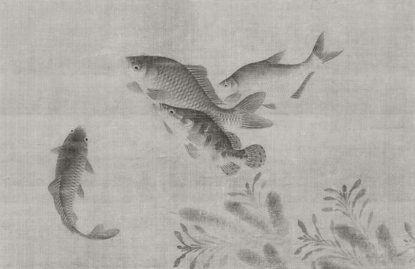 grey scale vintage print of fish swimming in a pond.