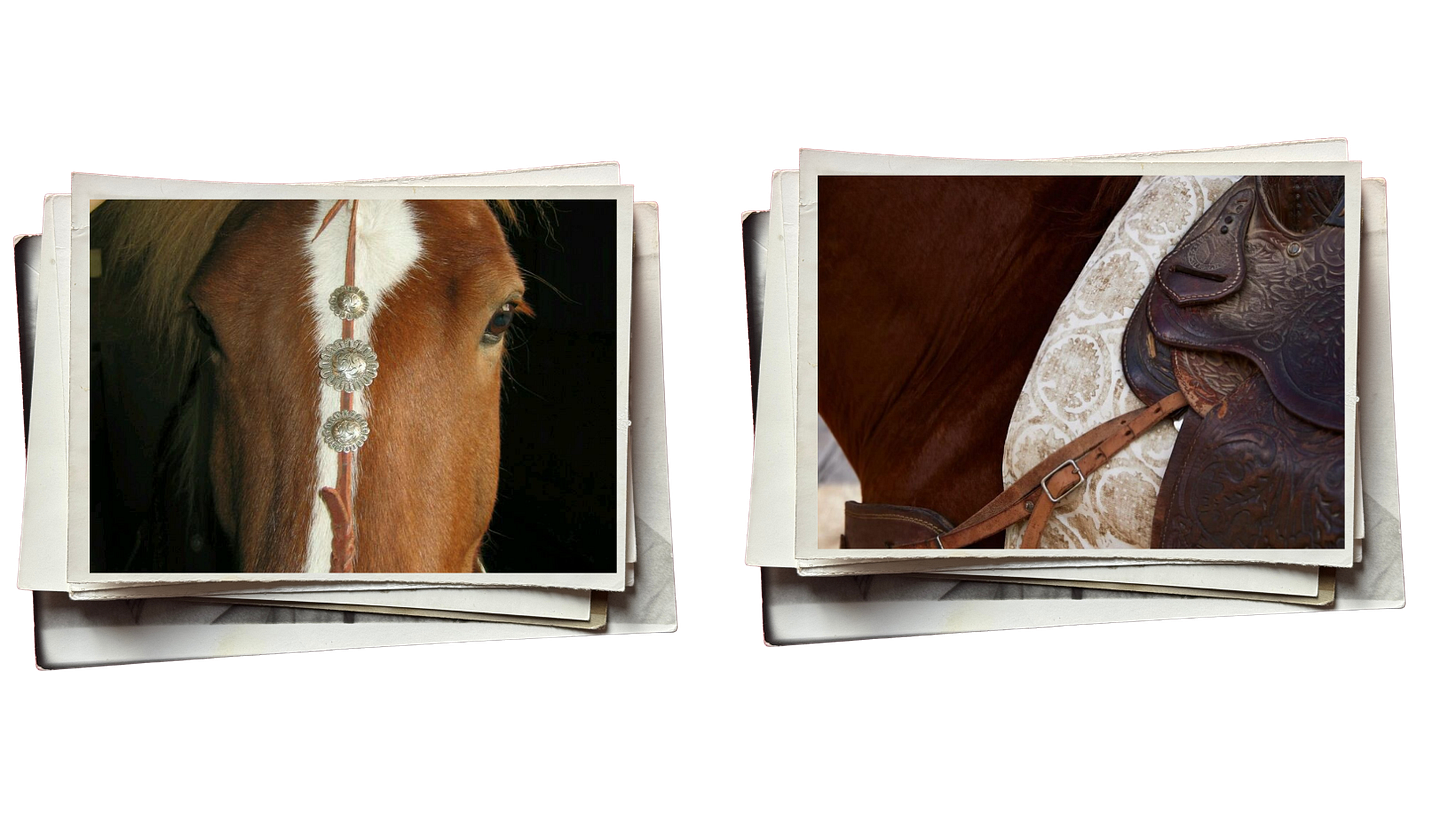 January reset  Cozy living  Winter routines  Lifestyle  Home and comfort  Soft reset