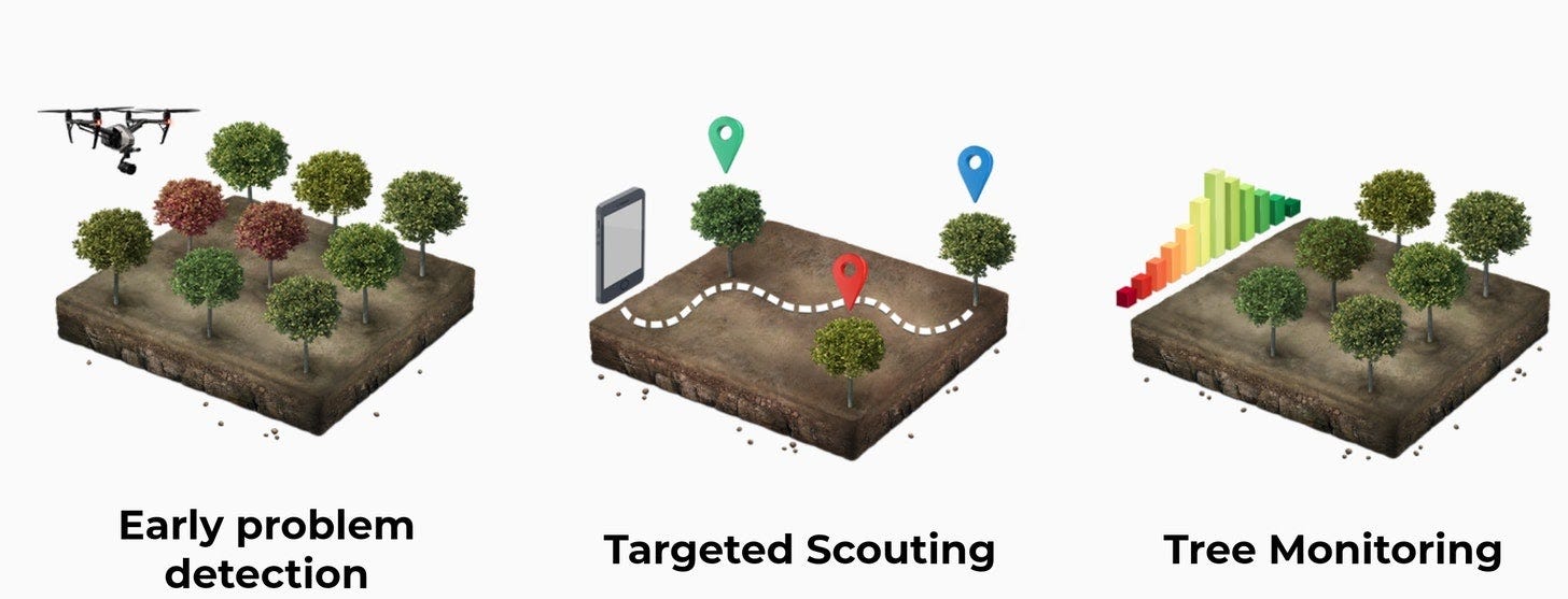 Precision farming startup in South Africa uses drones and AI Precision farming startup in South Africa uses drones and AI