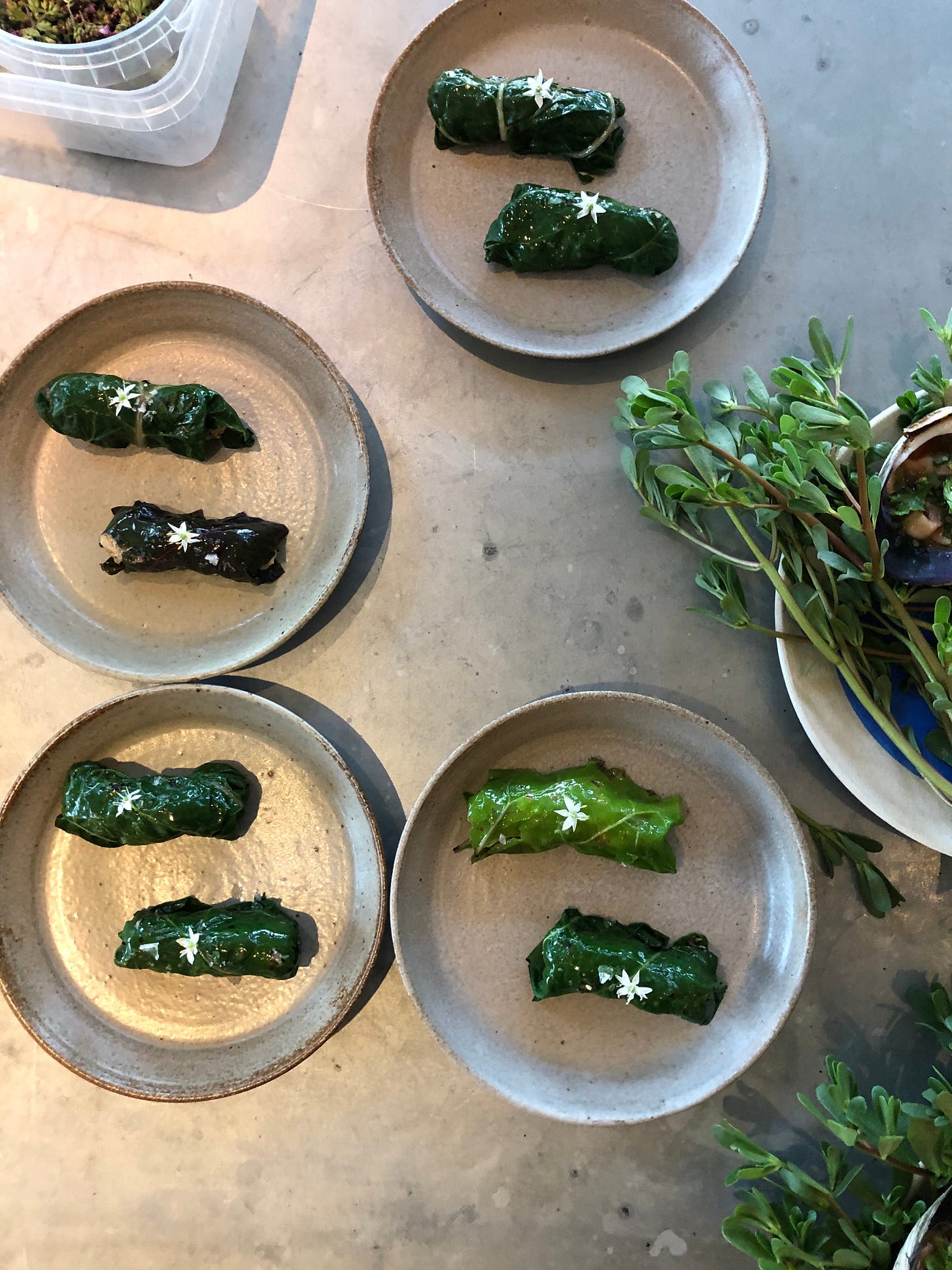 Cabbage Dolma wrapped in swisschard Filled with roasted cabbage and Mermaid farms feta
